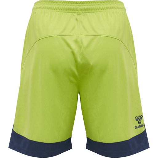 Hummel Men's Lead Poly Training Shorts Hummel