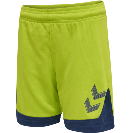 Hummel Youth Lead Poly Training Shorts Hummel