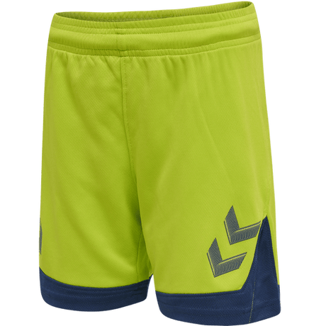 Hummel Youth Lead Poly Training Shorts Hummel