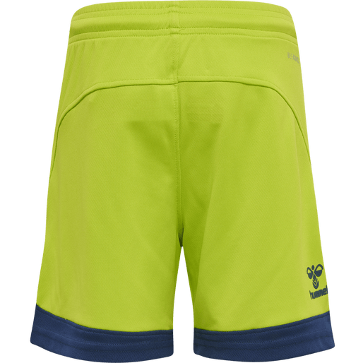 Hummel Youth Lead Poly Training Shorts Hummel
