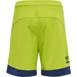 Hummel Youth Lead Poly Training Shorts Hummel