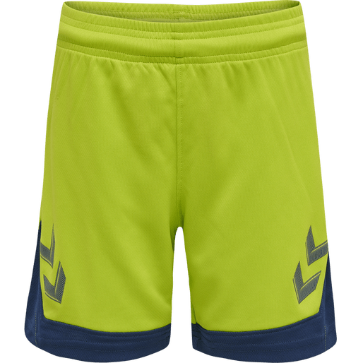 Hummel Youth Lead Poly Training Shorts Hummel