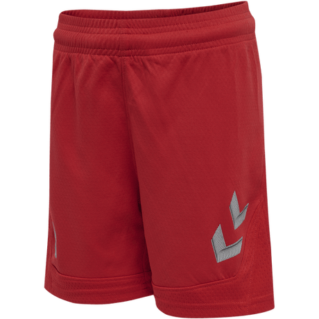 Hummel Youth Lead Poly Training Shorts Hummel