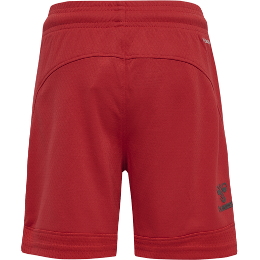 Hummel Youth Lead Poly Training Shorts Hummel