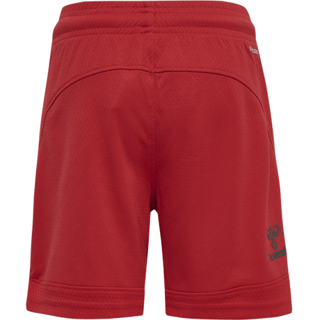 Hummel Youth Lead Poly Training Shorts Hummel