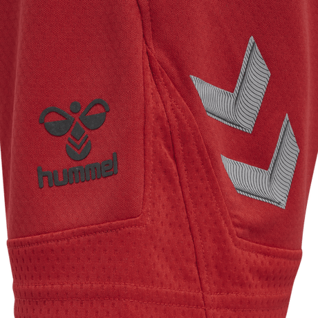 Hummel Youth Lead Poly Training Shorts Hummel