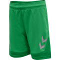 Hummel Youth Lead Poly Training Shorts Hummel