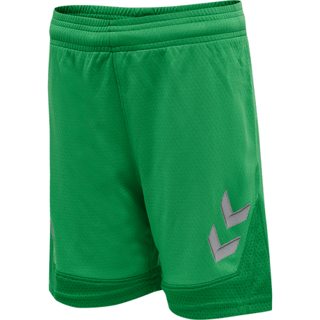 Hummel Youth Lead Poly Training Shorts Hummel