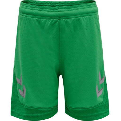 Hummel Youth Lead Poly Training Shorts Hummel