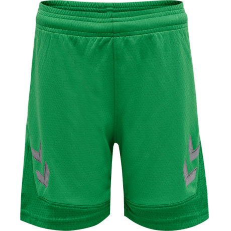 Hummel Youth Lead Poly Training Shorts Hummel