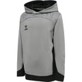 Hummel Youth Lead Poly Hoodie Hummel