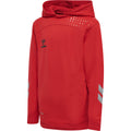 Hummel Youth Lead Poly Hoodie Hummel