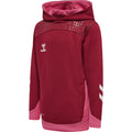 Hummel Youth Lead Poly Hoodie Hummel
