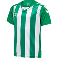 Hummel Youth Core XK Striped Short Sleeve Jersey Hummel