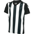 Hummel Youth Core XK Striped Short Sleeve Jersey Hummel