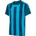 Hummel Youth Core XK Striped Short Sleeve Jersey Hummel