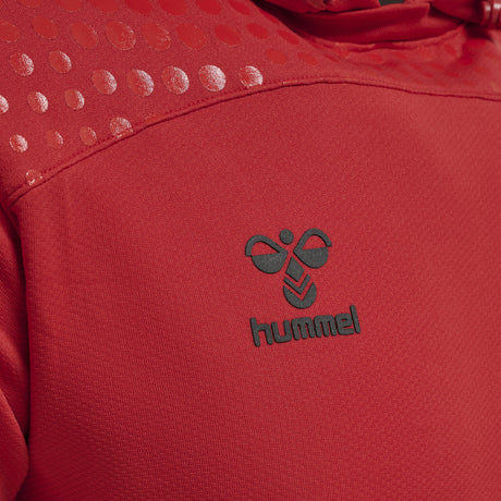 Hummel Men's Lead Poly Hoodie Hummel