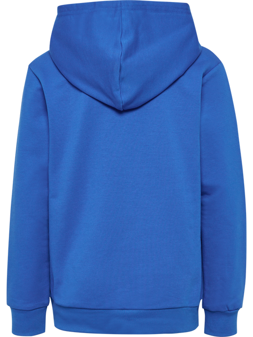 Hummel Youth Bally Hoodie Hummel