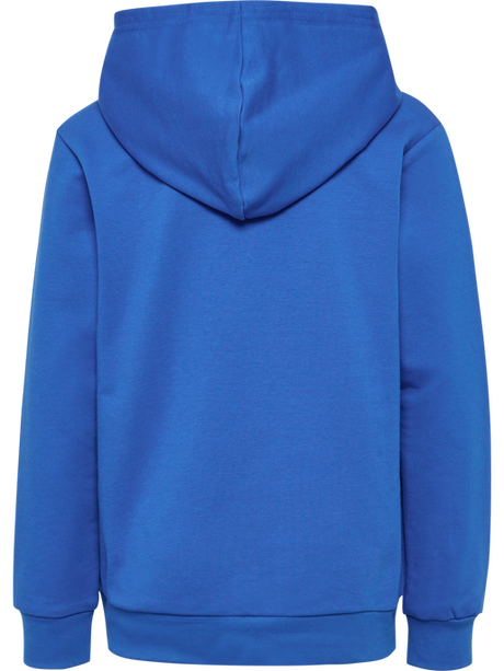 Hummel Youth Bally Hoodie Hummel