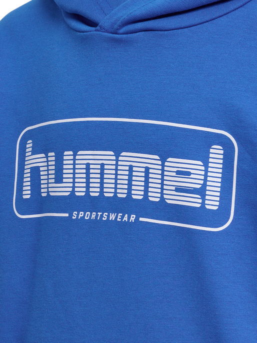 Hummel Youth Bally Hoodie Hummel
