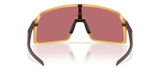 225110795.png