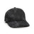 231797099.webp