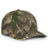 231797976.webp