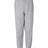 Hanes Men's Ecosmart Sweatpants Mens Apparel Pants & Sweatpants