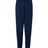 Hanes Men's Ecosmart Sweatpants Mens Apparel Pants & Sweatpants