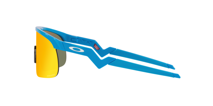 Oakley Resistor Sunglasses-11