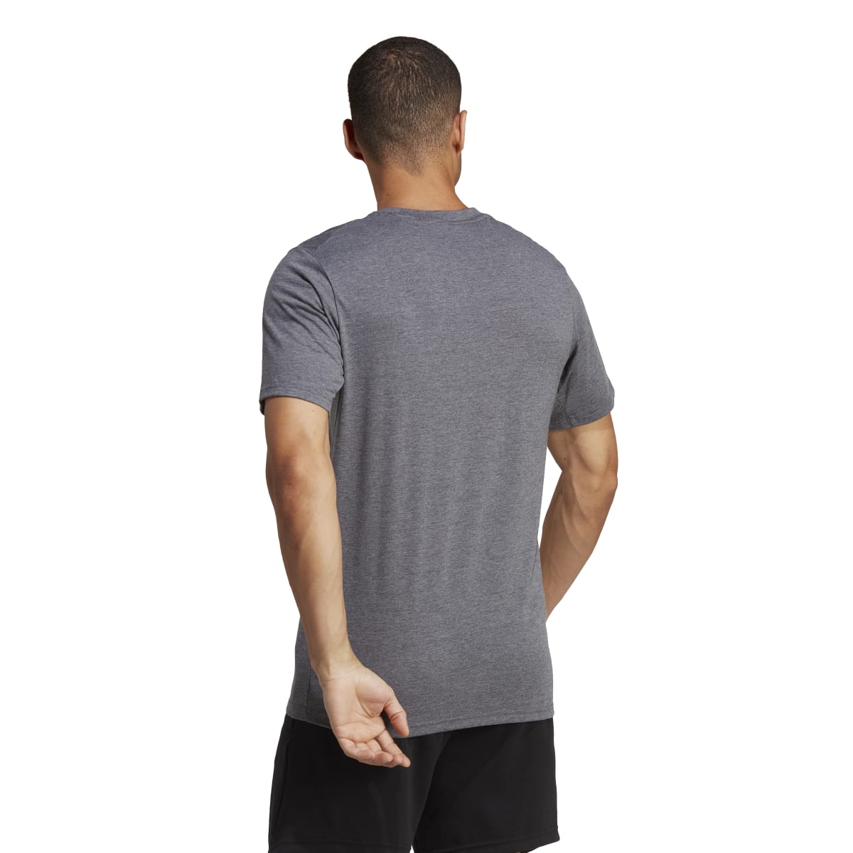 adidas Men's Train Essentials Feelready Tee Tall Mens Apparel Shirts & Tops
