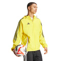 237454431.webp