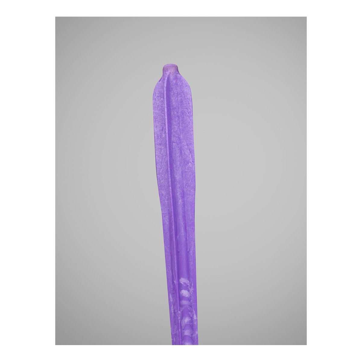 Gill Athletics Petranoff Javelins Track & Field Field Equipment All