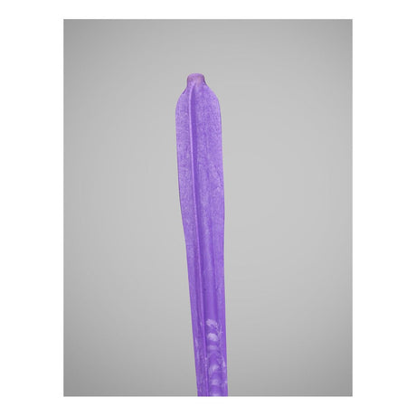 Gill Athletics Petranoff Javelins Track & Field Field Equipment All