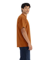 238893740.jpg
