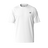 239089980.png