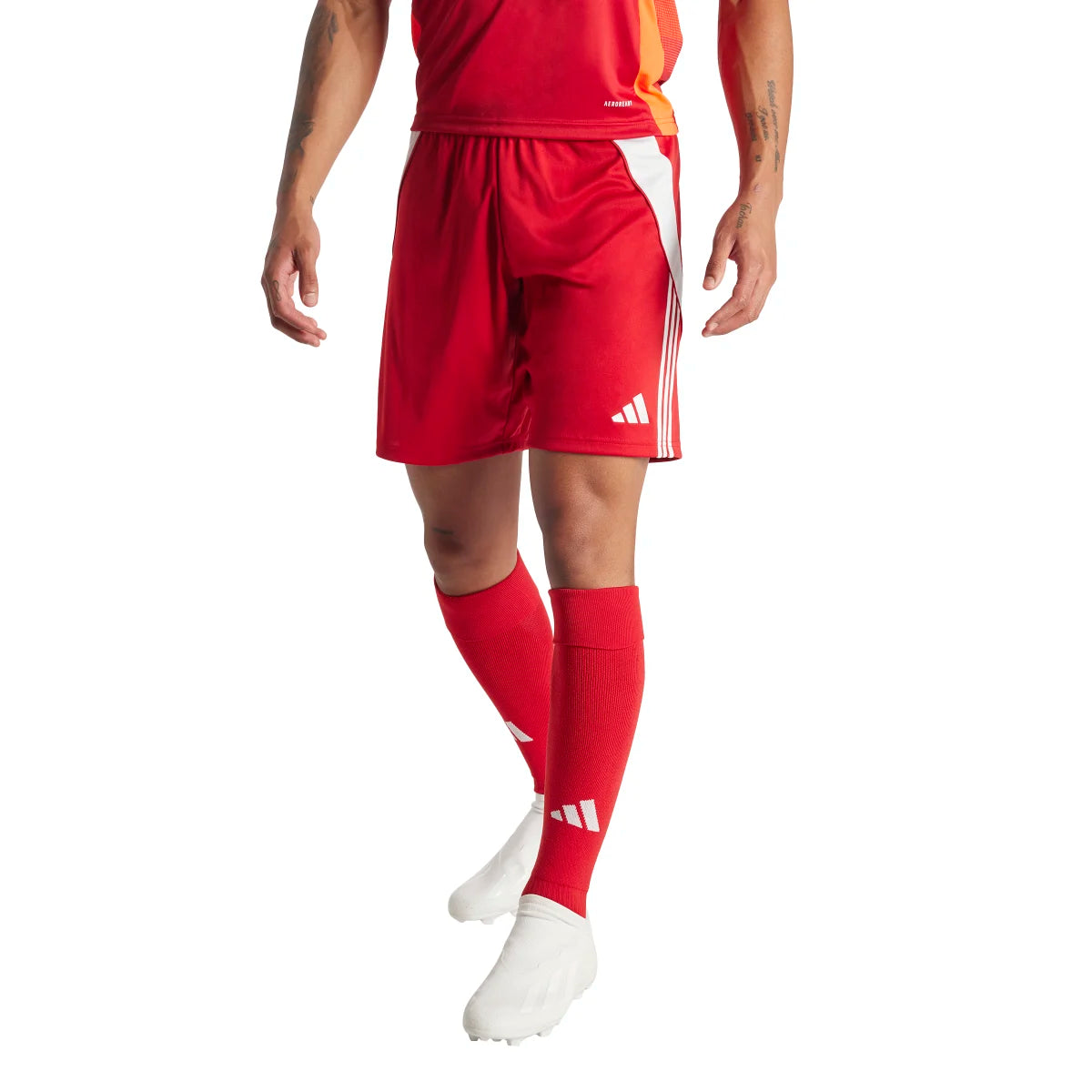 adidas Men's Tiro 24 Soccer Shorts Soccer Uniforms & Apparel All