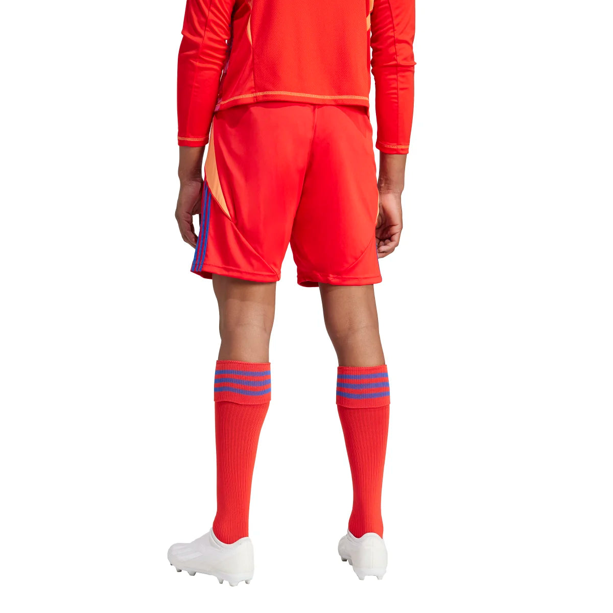 adidas Men's Tiro 24 Soccer Shorts Soccer Uniforms & Apparel All