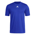 adidas Men's Short Sleeve Pregame Badge of Sport T-Shirt Mens Apparel Shirts & Tops