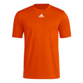 adidas Men's Short Sleeve Pregame Badge of Sport T-Shirt (Tall)-1