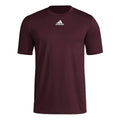 adidas Men's Short Sleeve Pregame Badge of Sport T-Shirt Mens Apparel Shirts & Tops