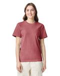 Comfort Colors Adult Heavyweight T-Shirt Mens Apparel Shirts & Tops