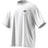 239930004.webp