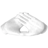 240003568.webp