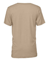 BELLA + CANVAS Men's Triblend T-Shirt - Plus