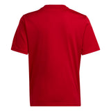 adidas Youth Boy's Team Icon 23 Jersey