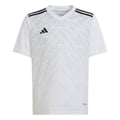 adidas Youth Boy's Team Icon 23 Jersey