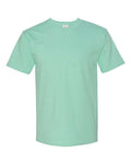Hanes Men's Big Authentic T-Shirt