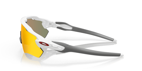 243007891.png