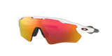243007892.png